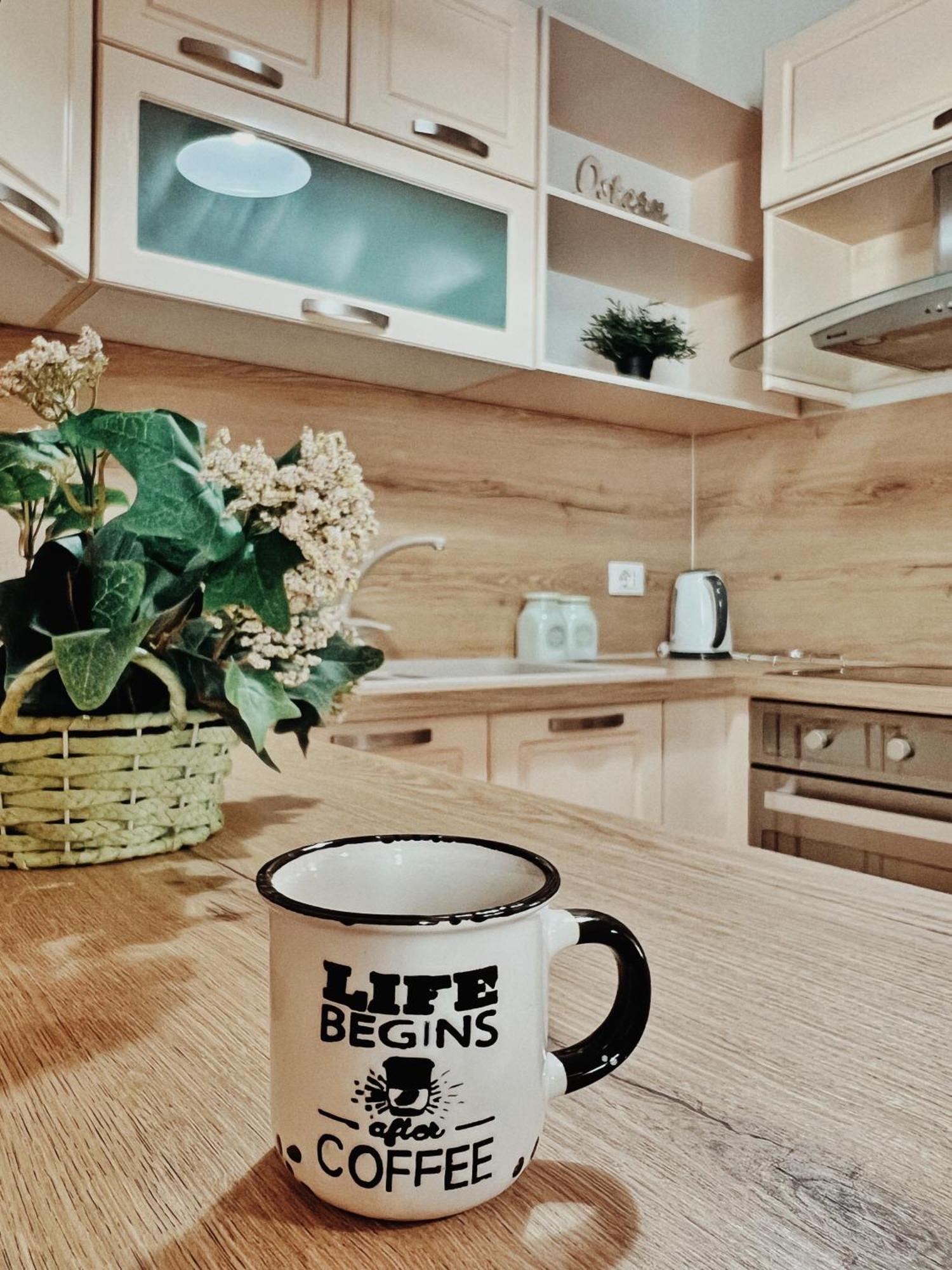 Cozy Rooftop Apartment - Your Home, Away From Home! تيرانا المظهر الخارجي الصورة