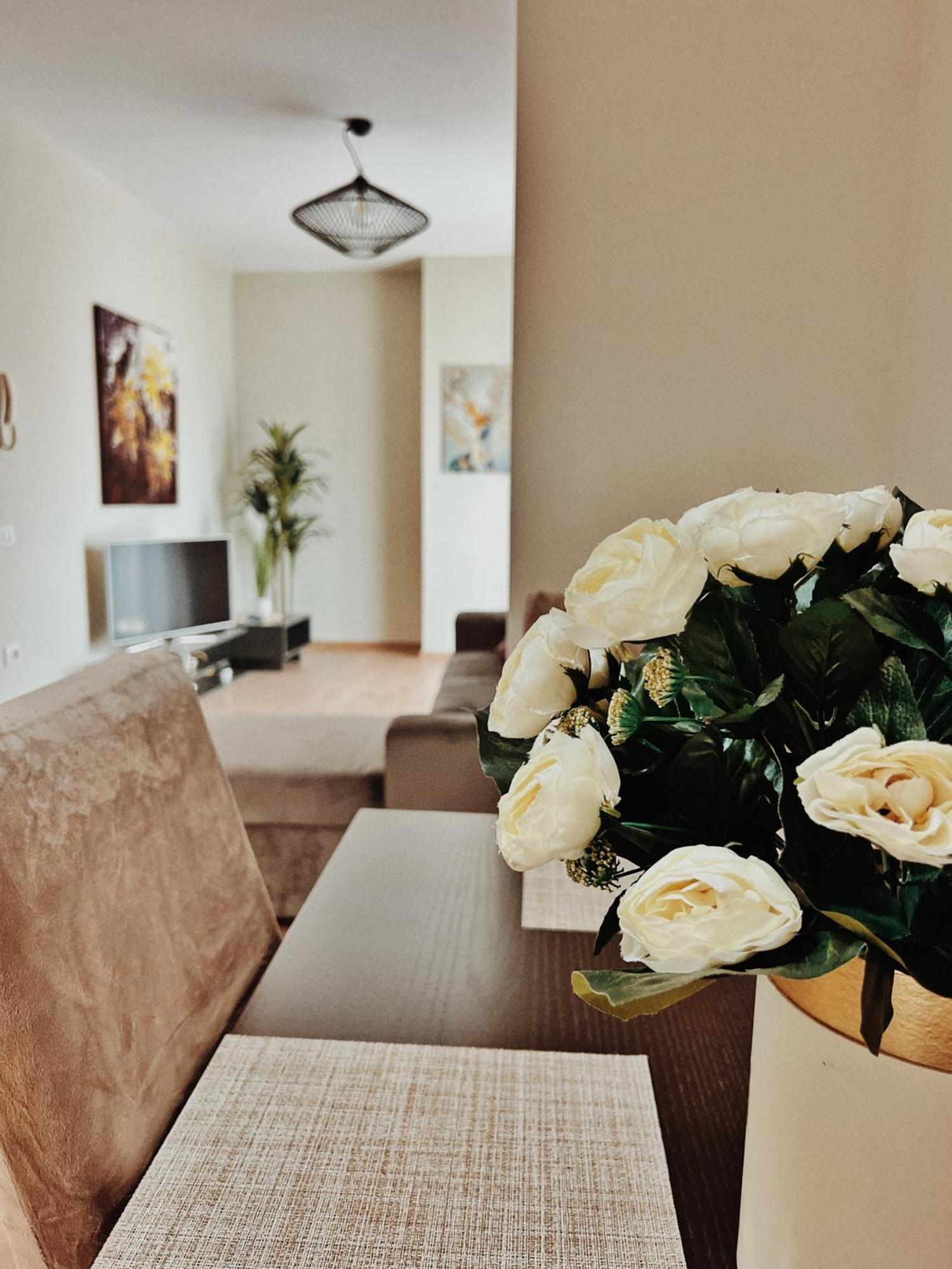 Cozy Rooftop Apartment - Your Home, Away From Home! تيرانا المظهر الخارجي الصورة